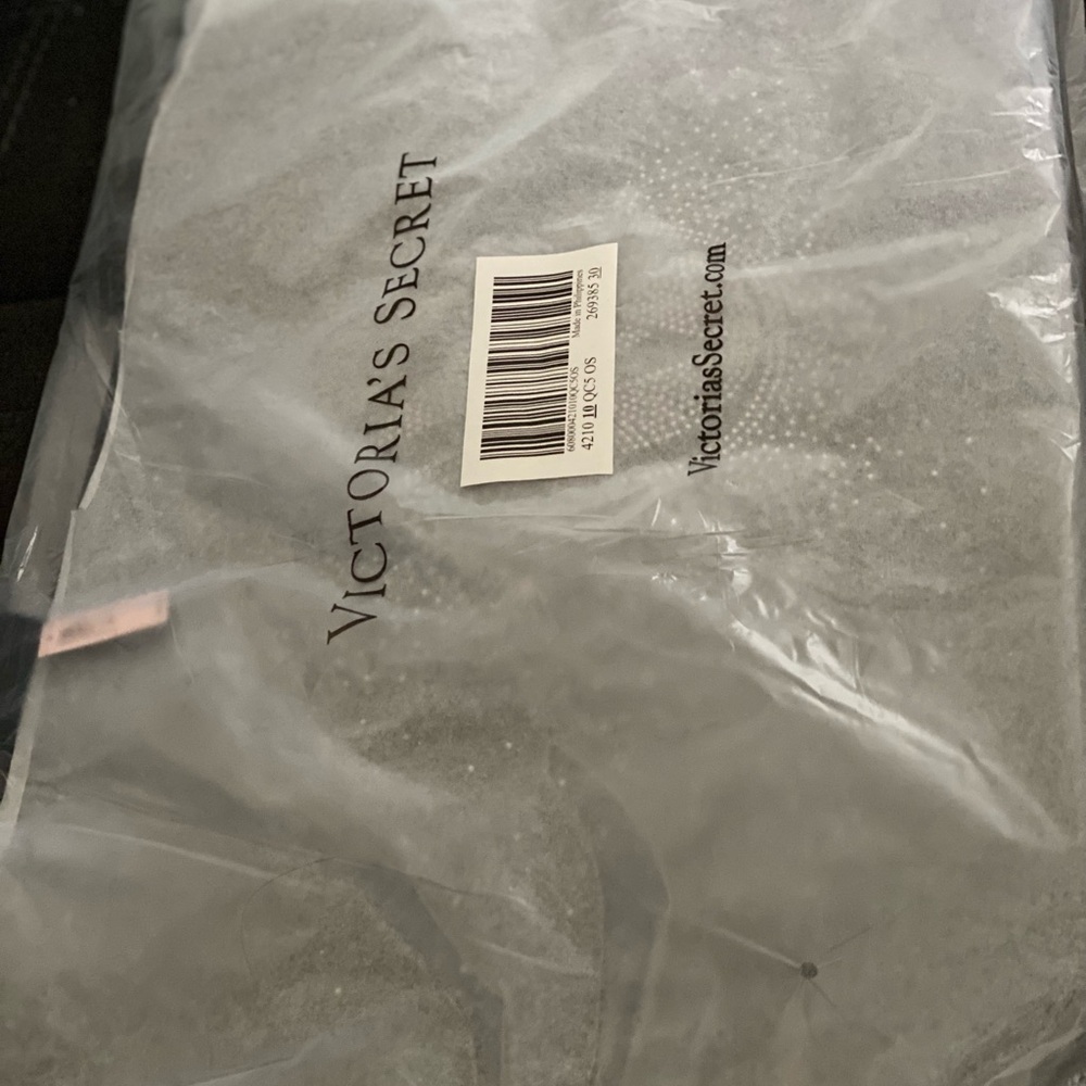 Victoria's Secret Elegant Silver Bag